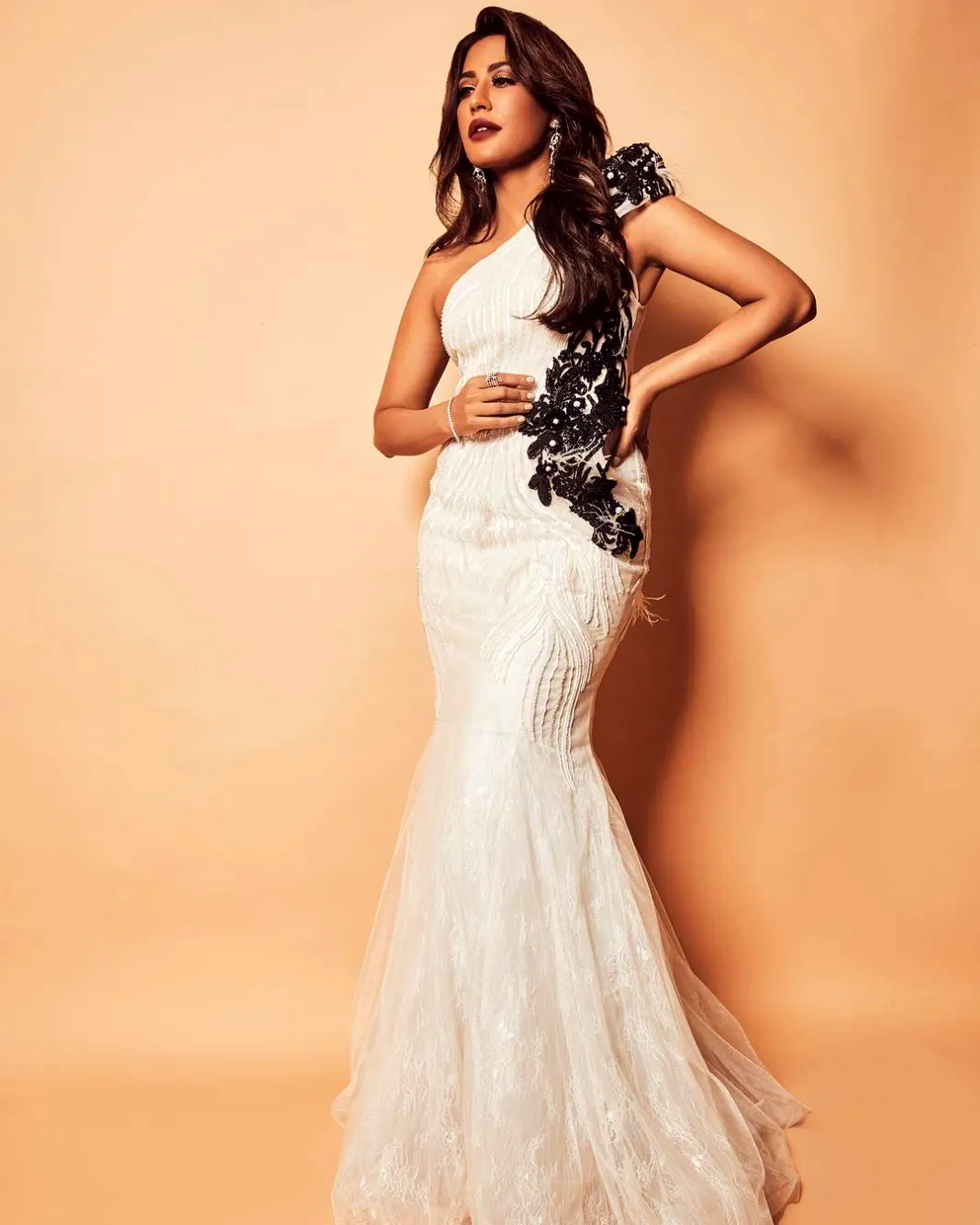 चित्रांगदा सिंह ने लगाया हुस्न का तड़का : Chitrangada Singh Photo