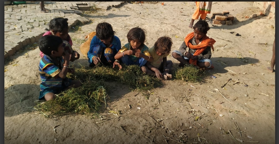 घास खाते बच्चों की ख़बर पर बोले DM