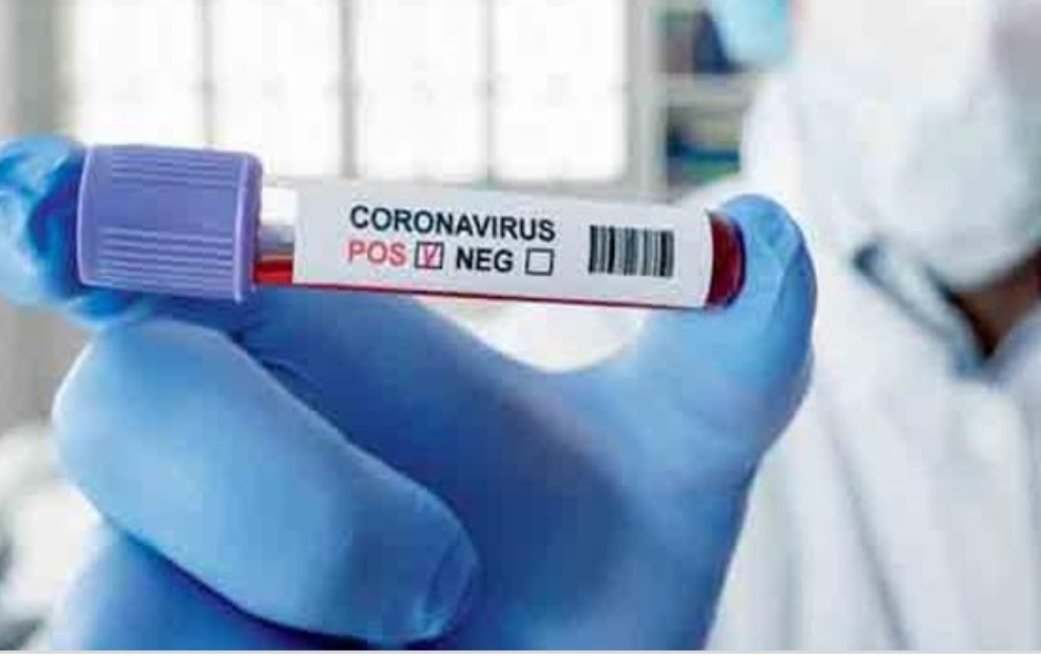 ऑक्सफोर्ड यूनिवर्सिटी की बड़ी कामयाबी कोरोना वैक्सीन का बंदरों पर ट्रायल सफल, अब इंसानों पर हो रहा परीक्षण