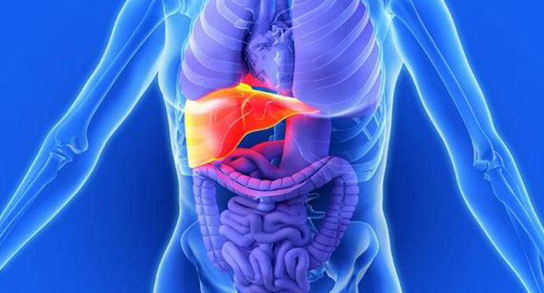 भूलकर भी न करें ये 8 गलतियां, लिवर हो सकता है डैमेज